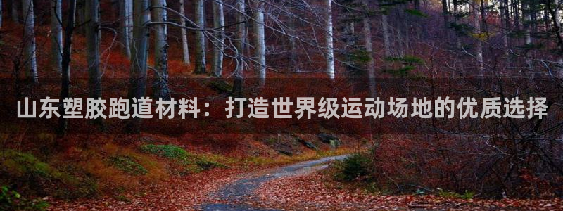尊龙d88皆选ag发财网：山东塑胶跑道材料：打造世界级运动场地的优质选择