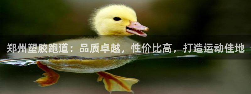 尊龙官网登录·(中国)官方网站-bd SPORTS：郑州塑胶跑道：品质卓越，性价比高，打造运动佳地