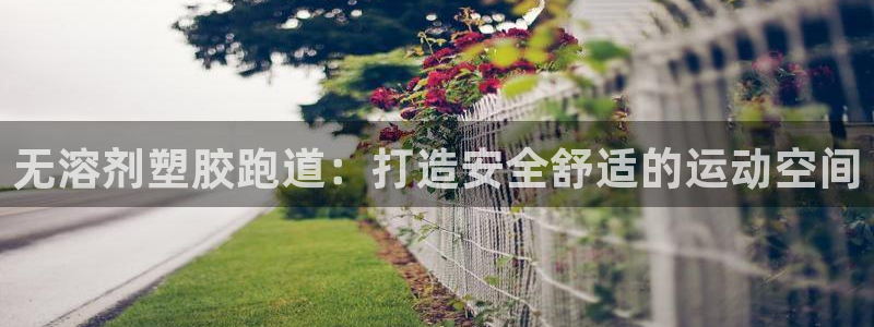 尊龙一生也走不出自己的童年：无溶剂塑胶跑道：打造安全舒适的运动空间