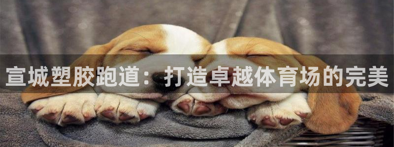 尊龙人生就是博一下阿扎尔：宣城塑胶跑道：打造卓越体育场的完美