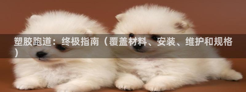 尊龙凯时人生就是博·(中国)官网：塑胶跑道：终极指南