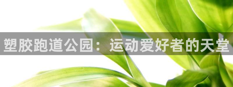 尊龙人生就是博菲律宾台子