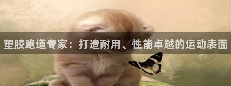 尊龙中国
