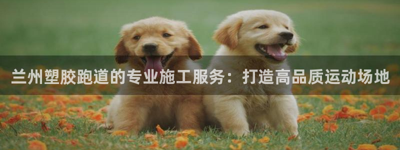 尊龙这个平台怎么样：兰州塑胶跑道的专业施工服务：打造高品质运动场地