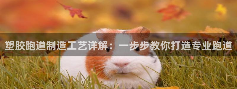 尊龙凯时开发：塑胶跑道制造工艺详解：一步步教你打造专业跑道