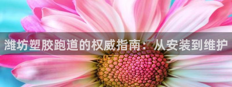 尊龙网址苹果版下载：潍坊塑胶跑道的权威指南：从安装到维护