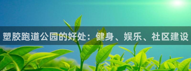 d88尊龙官方网：塑胶跑道公园的好处：健身、娱乐、社区建设