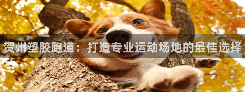 ag旗舰平台尊龙代言：贺州塑胶跑道：打造专业运动场地