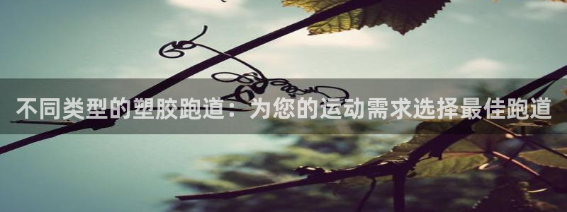 尊龙500价格：不同类型的塑胶跑道：为您的运动需求选择最佳跑道