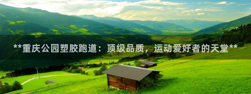 尊龙人生就是博旧版现