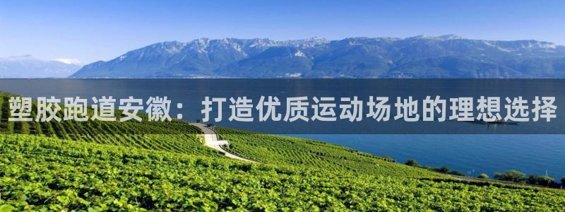 尊龙-人生就是博：塑胶跑道安徽：打造优质运动场地的理想选择