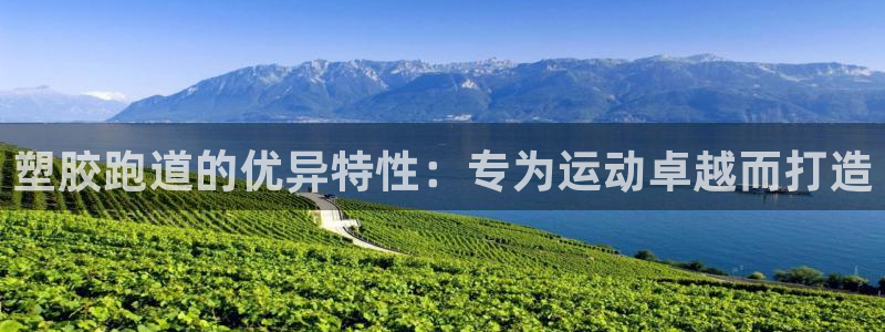 ag尊龙凯时官网：塑胶跑道的优异特性：专为运动卓越而