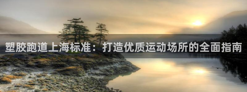 尊龙凯时平台入口：塑胶跑道上海标准：打造优质运动场所的全面指南
