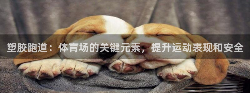 尊龙凯时几百万怎么下款