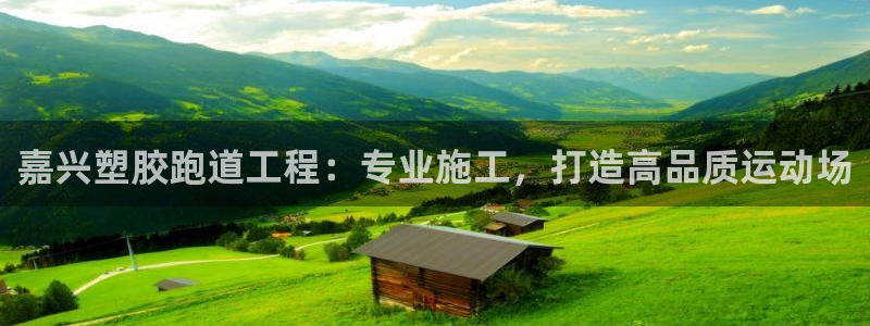 尊龙-人生就是博!：嘉兴塑胶跑道工程：专业施工，打造高品质运动场