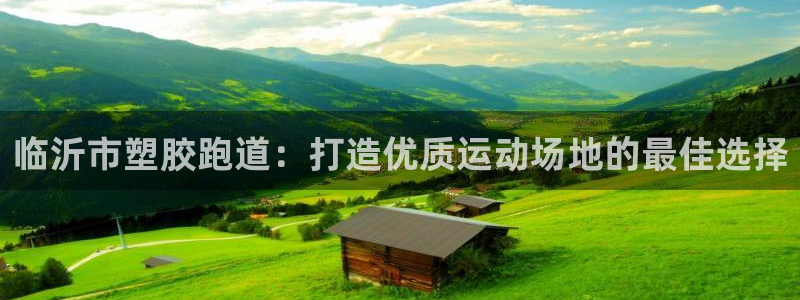 尊龙凯时始人生就是博：临沂市塑胶跑道：打造优质运动场地的最佳选择