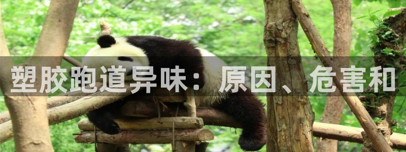 尊龙d88平台版下载：塑胶跑道异味：原因、危害和