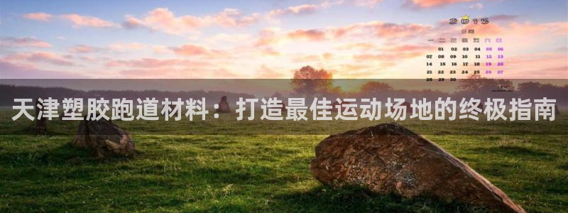 尊龙凯时人生就是博·(中国)官网首页：天津塑胶跑道材料：打造最佳运动场地的终极指南