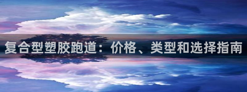 尊龙手机客户端下载：复合型塑胶跑道：价格、类型和选择指南