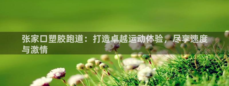 尊龙服饰有限公司地址