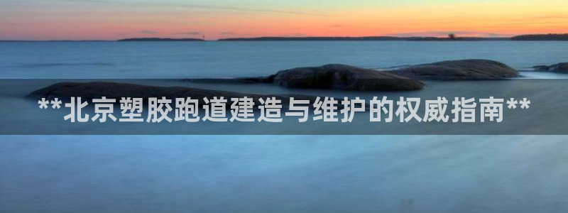 尊龙凯时美金能提取吗：**北京塑胶跑道建造与维护的权威指南**