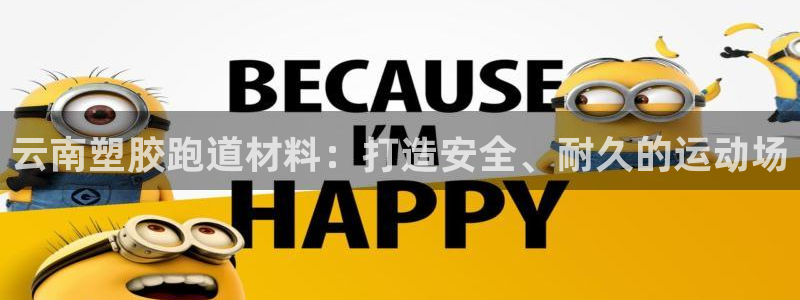 凯时ag旗舰厅网址是什么：云南塑胶跑道材料：打造安全