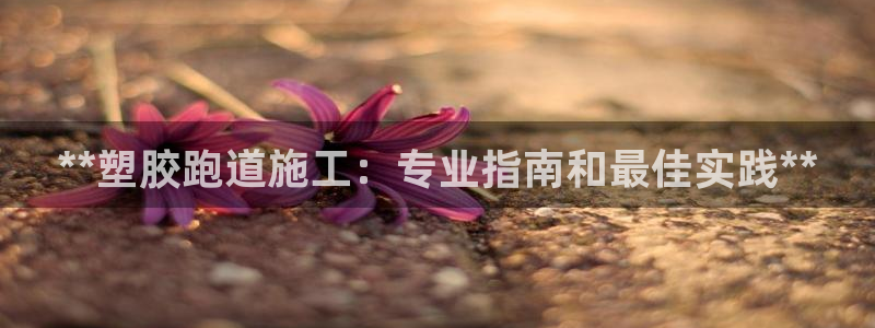 尊龙凯时城游戏官网：**塑胶跑道施工：专业指南和最佳实践**