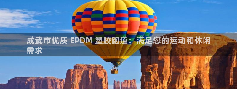 尊龙官方网站是真的吗：成武市优质 EPDM 塑胶跑道