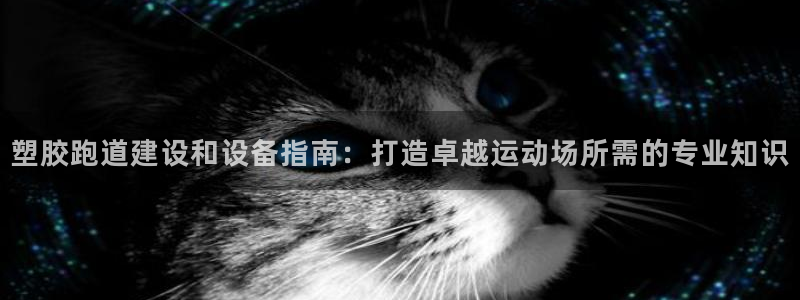 凯时官网手机版首页：塑胶跑道建设和设备指南：打造卓越运动场所