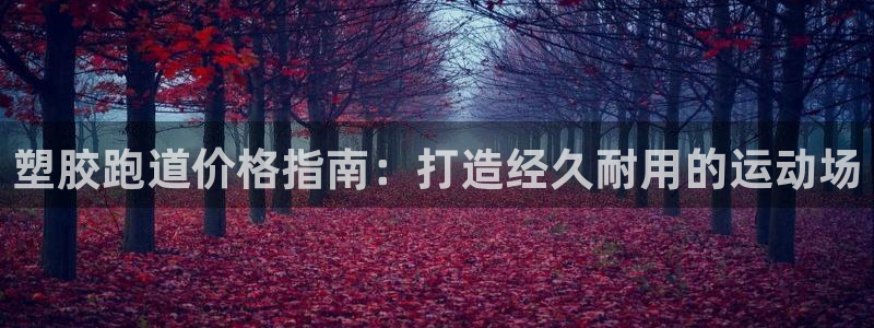 尊龙凯时网站怎么样：塑胶跑道价格指南：打造经久耐用的运动场