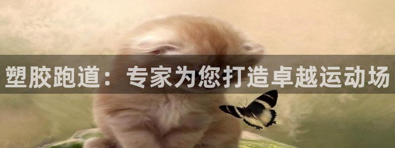 尊龙凯时下载官方正版：塑胶跑道：专家为您打造卓越运动场