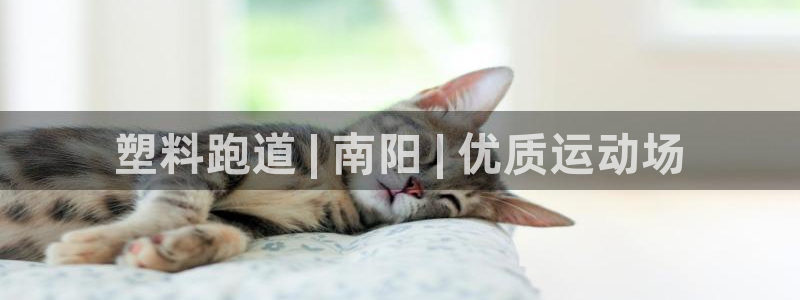 尊龙新版登录网址下载：塑料跑道 | 南阳 | 优质运动场