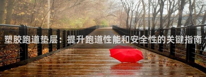 尊龙凯时 人生就是搏 平台：塑胶跑道垫层：提升跑道性能和安全性的关键指南