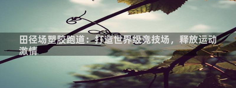 尊龙凯时人生就是搏客户：田径场塑胶跑道：打造世界级竞技场，释放运动
激情