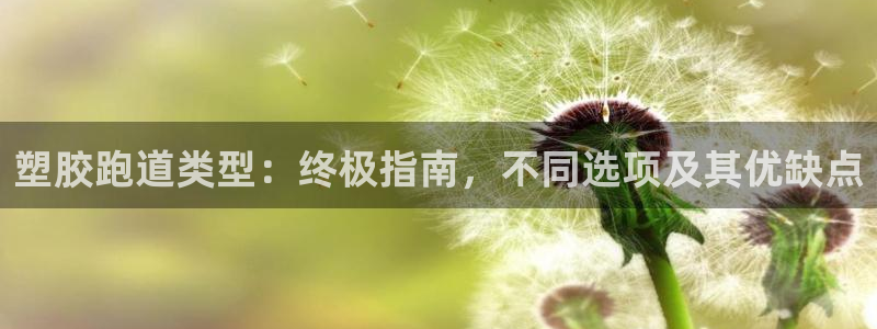 尊龙集团有限公司地址：塑胶跑道类型：终极指南，不同选项及其优缺点