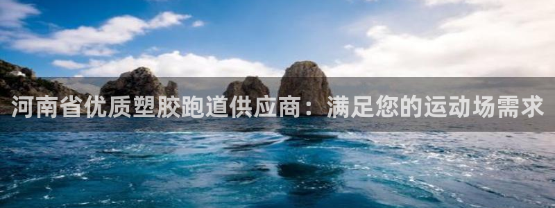 尊龙官网免费下载：河南省优质塑胶跑道供应商：满足您的运动场需求