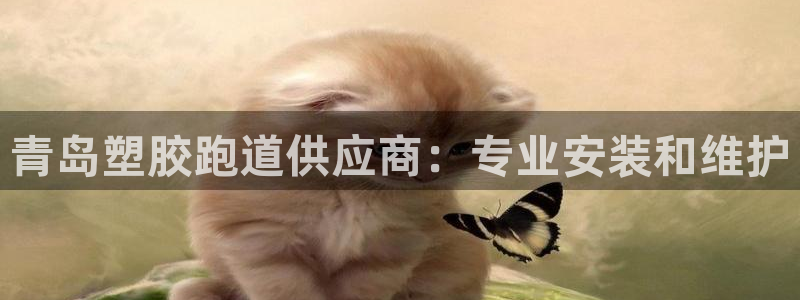 z6com尊龙凯时代理：青岛塑胶跑道供应商：专业安装
