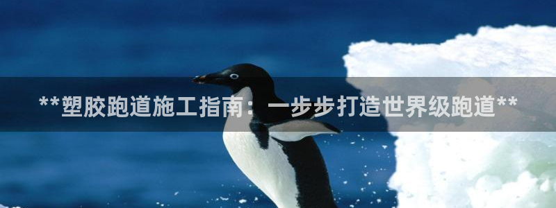 尊龙人生就是博官：**塑胶跑道施工指南：一步步打造世界级跑道**