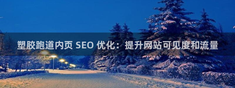 尊龙ag旗舰厅登录 租车app下载：塑胶跑道内页 SEO 优化：提升网站可见度和流量