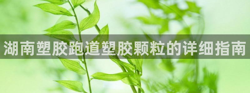 尊龙凯时怎么样没听说过：湖南塑胶跑道塑胶颗粒的详细指