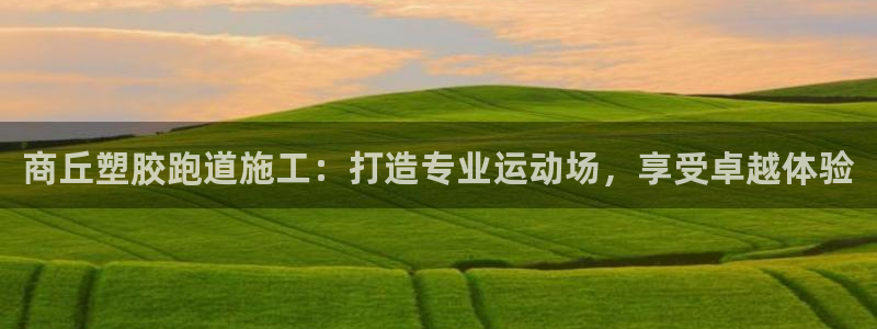 z6尊龙官方网站：商丘塑胶跑道施工：打造专业运动场，享受卓越体验