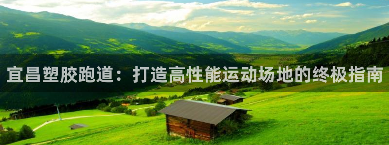 尊龙人生就是博AG旗舰厅：宜昌塑胶跑道：打造高性能运动场地的终极指南