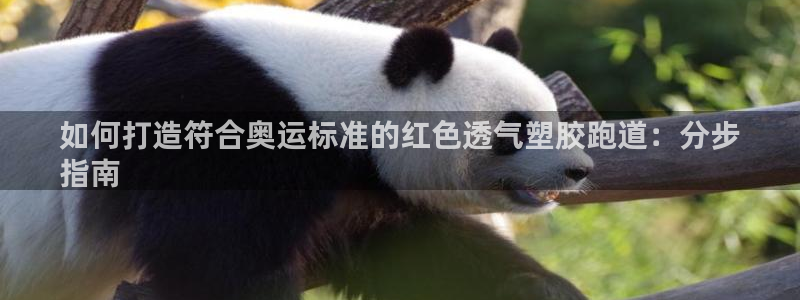尊龙凯时人生就是博·(中国)官网首页：如何打造符合奥