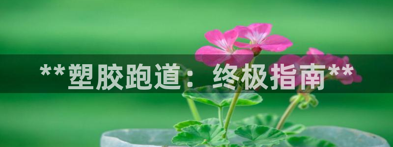 尊龙凯时老板是谁：**塑胶跑道：终极指南**