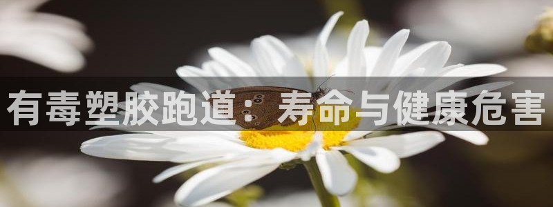 尊龙凯时网娱乐官网