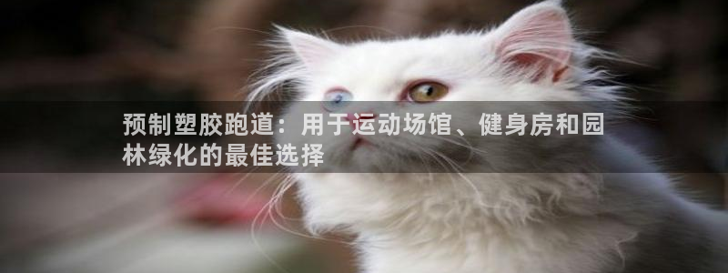 尊龙新版官网网页版：预制塑胶跑道：用于运动场馆、健身房和园
林绿化的最佳选择