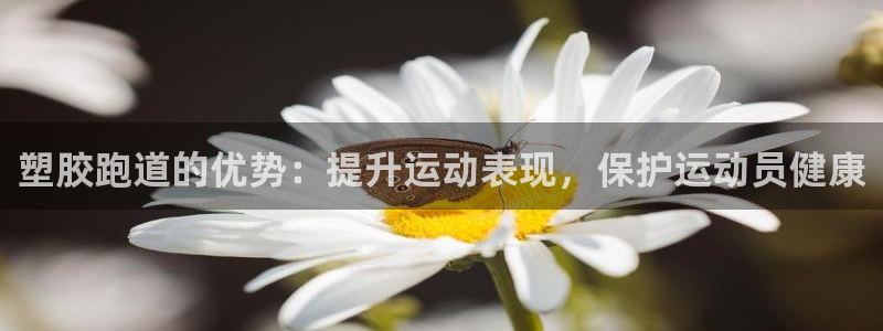 尊龙手机客户端下载APP：塑胶跑道的优势：提升运动表