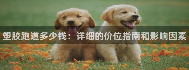 凯时AG网：塑胶跑道多少钱：详细的价位指南和影响因素
