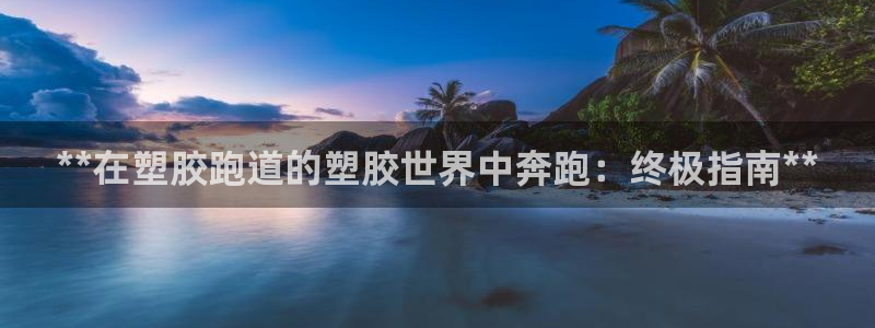 尊龙凯时的生产设备：**在塑胶跑道的塑胶世界中奔跑：终极指南**