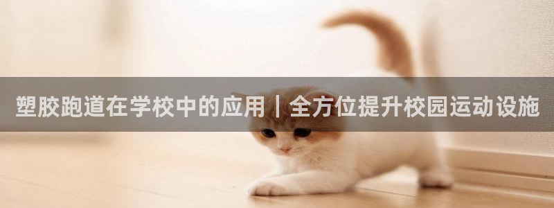 尊龙凯时d3563：塑胶跑道在学校中的应用｜全方位提